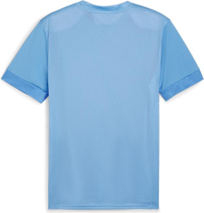 Actual product image Puma teamGOAL Matchday Jersey (L)