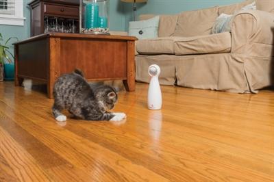 Image du produit PetSafe Bolt (Jouets avec herbe à chat)