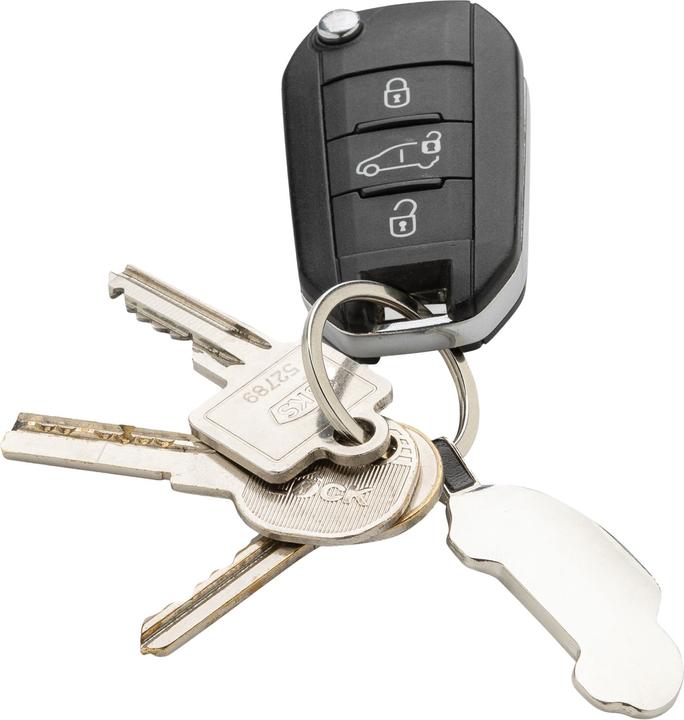 Actual product image Xd Collection Car Recycled Keyring
