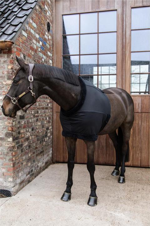 Immagine prodotto Kentucky Horsewear Protezione per il petto