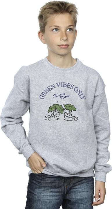 Immagine prodotto Disney Chip 'n Dale Green Vibes Only Felpa Ragazzi (140, 146)