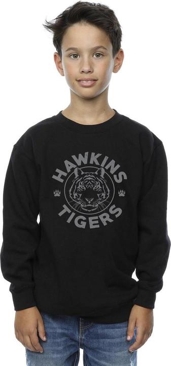 Actual product image Netflix Boys Stranger Things Hawkins Grey Tiger Sweatshirt (128)