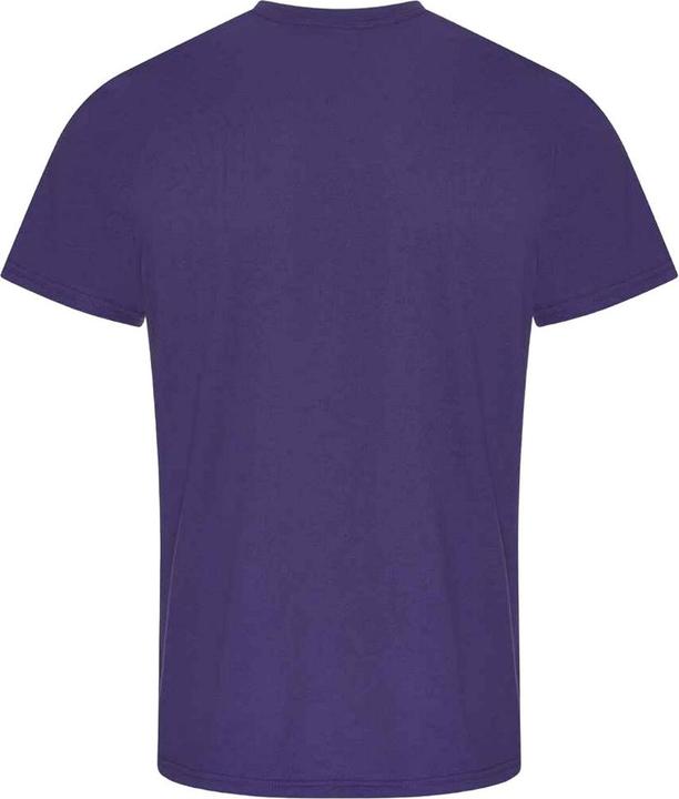 Actual product image Pro RTX Mens Pro T-Shirt (XL)