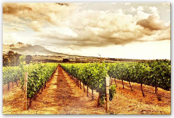 Actual product image Trenddeko Vines in the mountains (150 x 100 cm)
