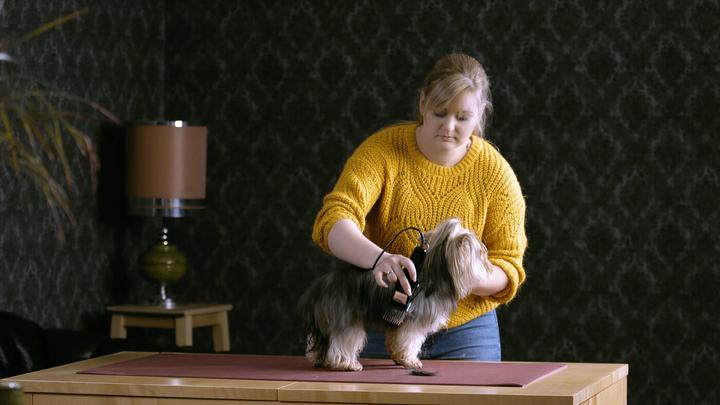 Actual product image Moser 1406-0076 Shearing machine for animals (Dog, Cat)