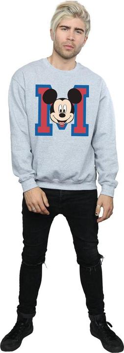 Actual product image Disney Sweatshirt (M)