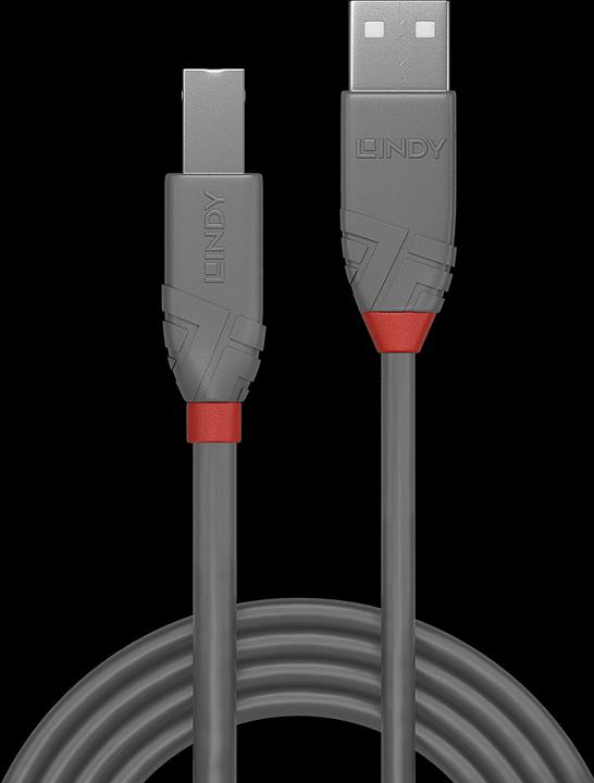 Produktbild Lindy USB/A-USB/B M-M (2 m, USB 2.0)