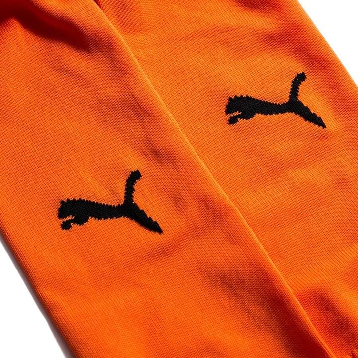 Actual product image Puma Team LIGA Socks CORE-703441 (39 - 42)