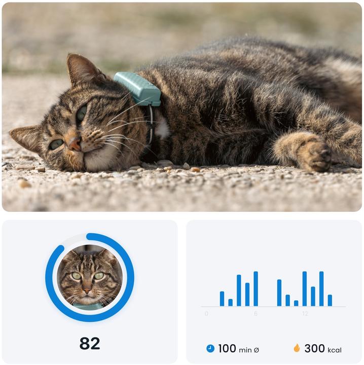Produktbild Tractive GPS Mini (One Size, Katze, Allgemein)