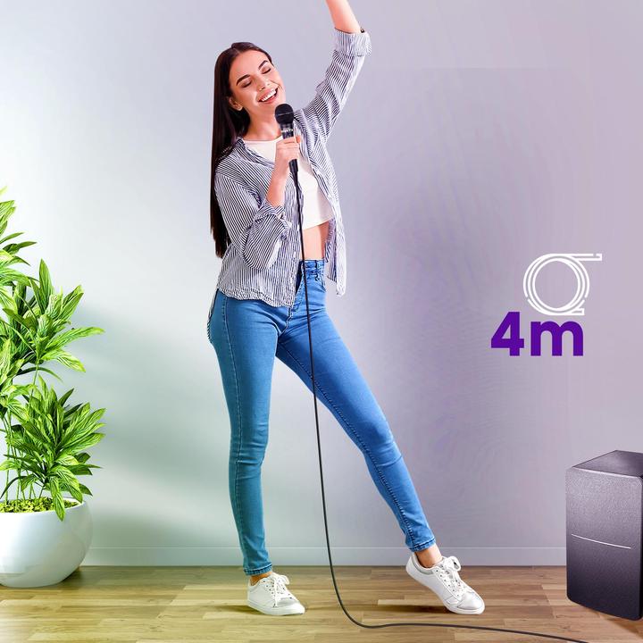 Actual product image Bigben Karaoke microphone, wired