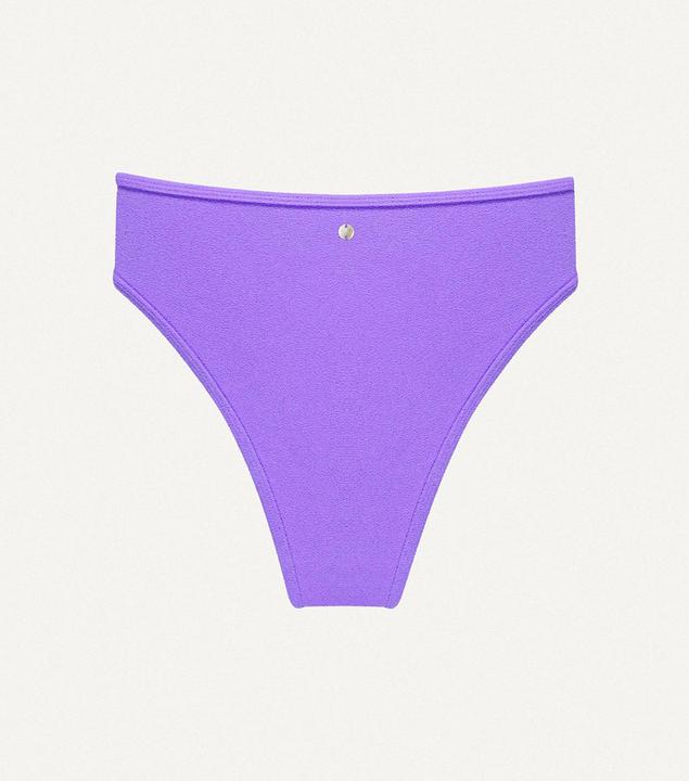 Spugna viola