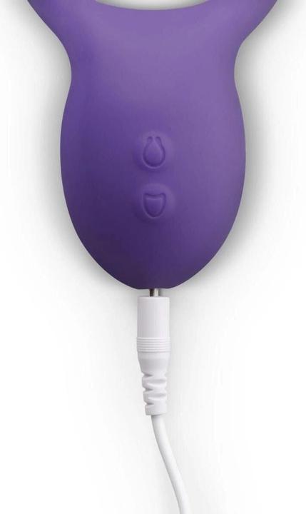 Produktbild Teazers Paarvibrator