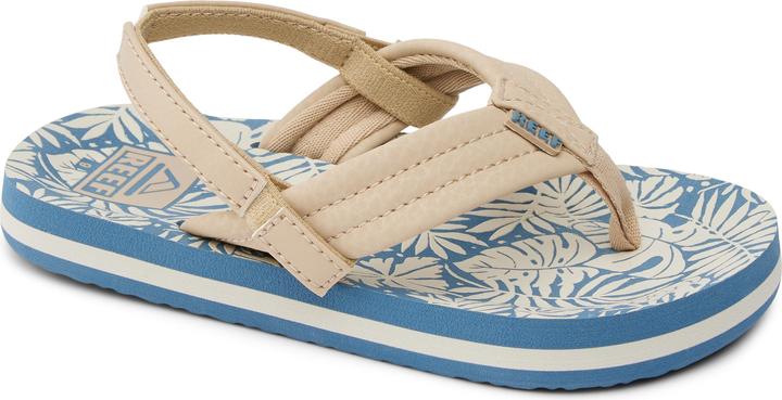 blue-tan palm