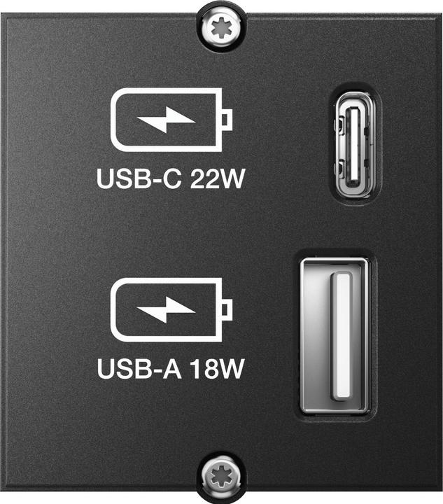 Bachmann Custom Modul Ladegerät USB-A 18W, USB-C 22W (22 W)