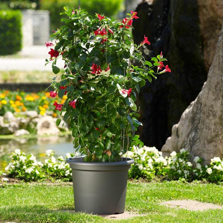 Immagine prodotto Euro3plast Fioriera (35 cm)
