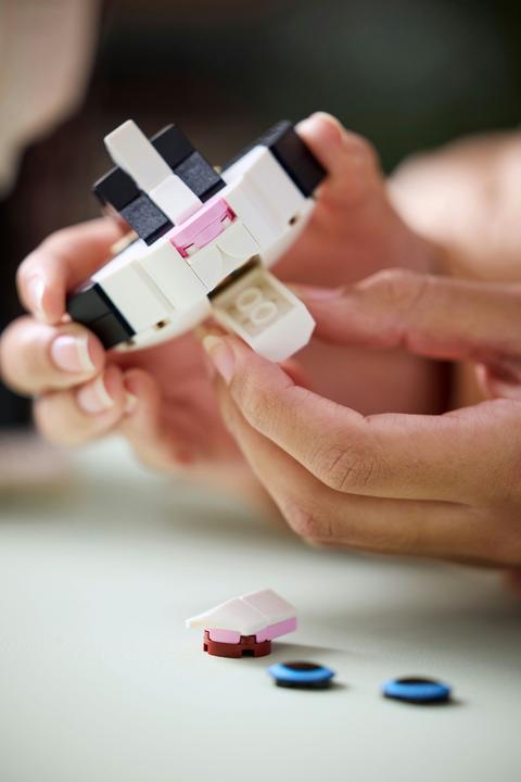 Productafbeelding LEGO Vertrouwelijk (21349, LEGO Ideeën, LEGO Zeldzame Sets)