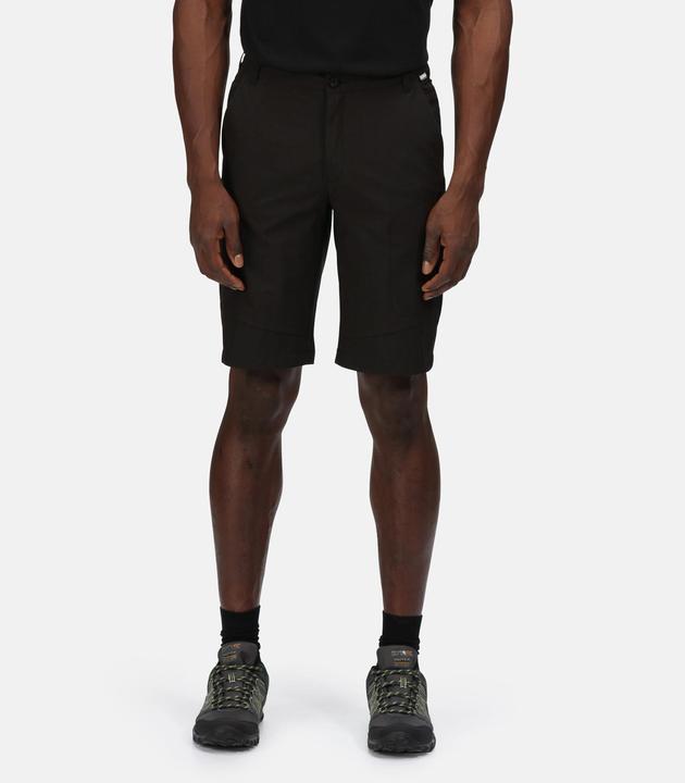 Actual product image Regatta Highton Shorts Hiking (48 D)
