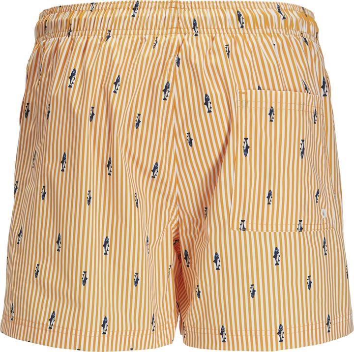 Actual product image Jack & Jones Regular Fit Badeshorts Badeshorts (XS)