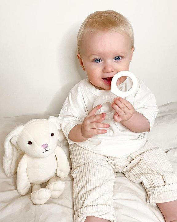 Immagine prodotto Twistshake teether cooler