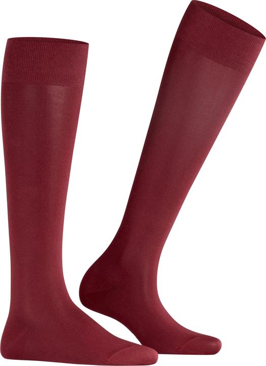 8596 barolo