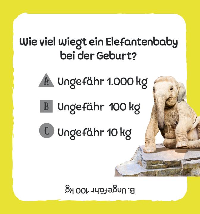 Actual product image Card box: The big quiz - Animals (German)