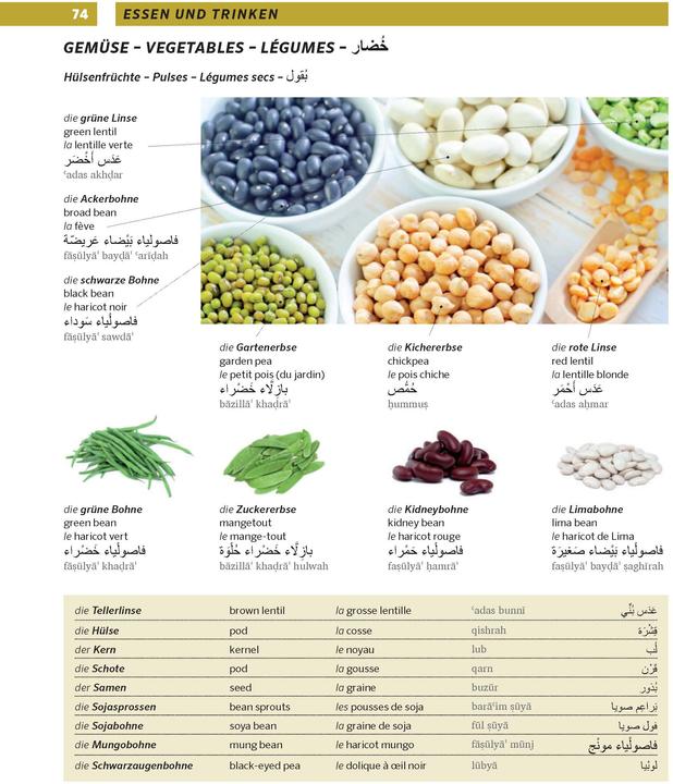Produktbild Grosses Bildwörterbuch Arabisch - Deutsch + Englisch und Französisch (Deutsch, Englisch, Französisch, Arabisch, 2019)