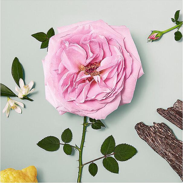 Immagine prodotto Chloé Eau de Parfum Naturelle (Eau de parfum, 50 ml)