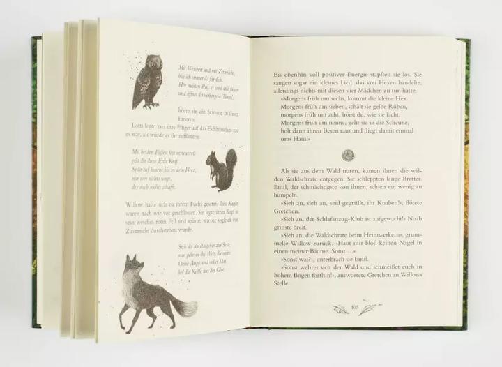 Produktbild Planet Ein Mädchen namens Willow 2: Waldgeflüster (Deutsch, Sabine Bohlmann, 2021)