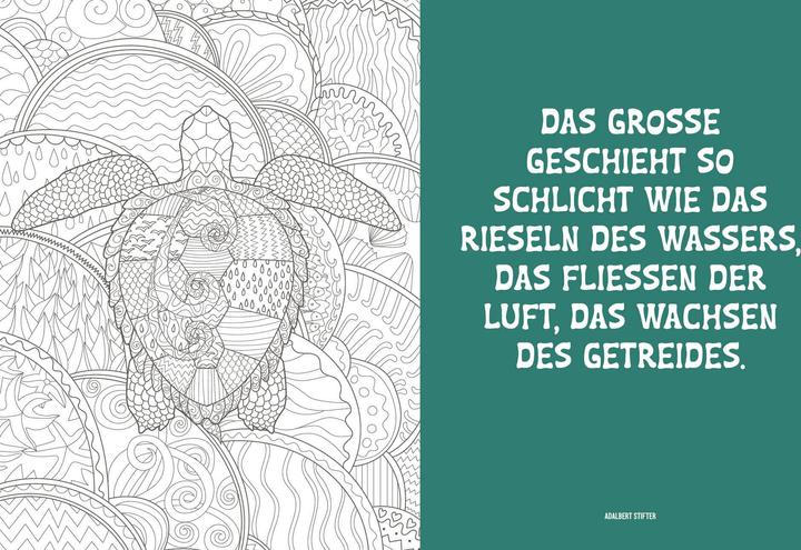Produktbild Mandala Natur und Entspannung