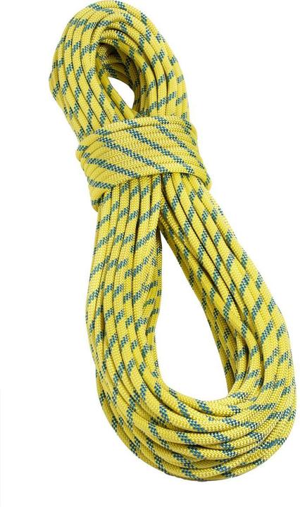 Tendon Statikseil SECURE 110 (200 m)