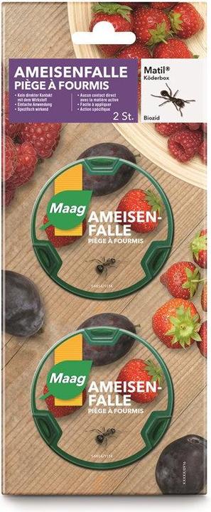 Maag Matil ant box (2 ml)