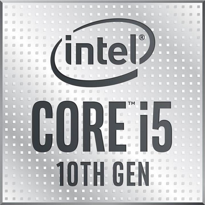 Intel Core i5-10600K (LGA 1200, 4.10 GHz, 6 -Core)