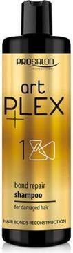 Chantal Prosalon Artplex Rebuilding Word Shampoo 400Ml (400 ml)