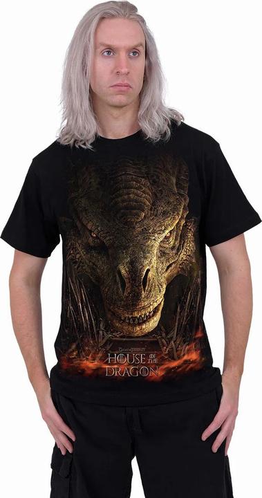 Actual product image Spiral Unisex Adult Dragon Throne House Of The Dragon T-Shirt (3XL)