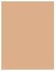 Actual product image Dermacol Toning Cream 2in1 (05 Bronze)