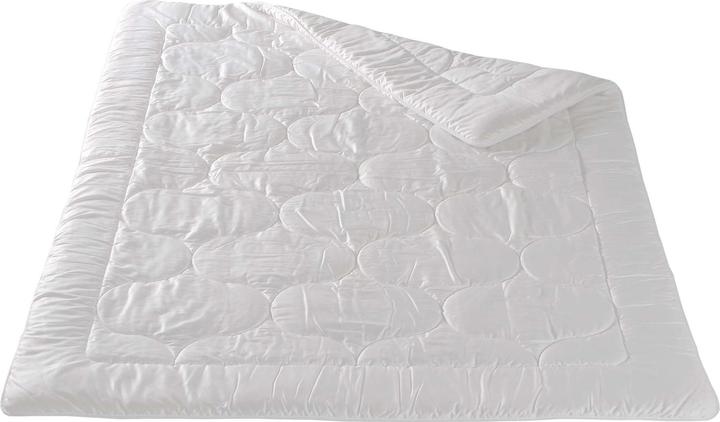 Immagine prodotto DOR Begonia classica (2000 g, 160 x 240 cm)
