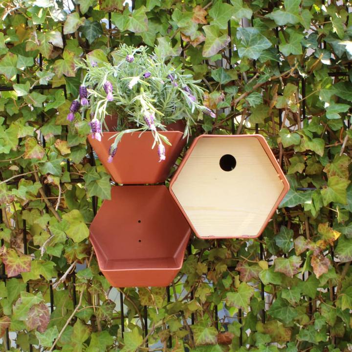 Actual product image Capi Vogelhäuschen Hive 1 Rundes Loch