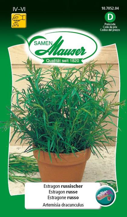 Samen Mauser Estragon, russe (Graines d'herbes aromatiques)
