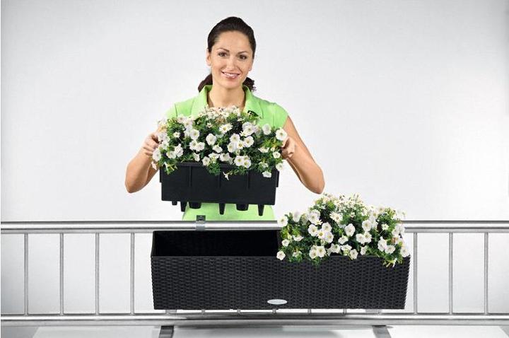 Immagine prodotto Lechuza Balconera Cottage (19 cm)