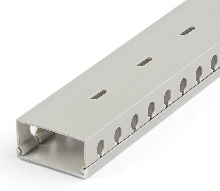 Immagine prodotto StarTech Canalina aperta per la gestione dei cavi con copertura, 2" (50mm) W x 1" (25mm) H, 6.5ft (2m) (Tubazione, 200 cm)