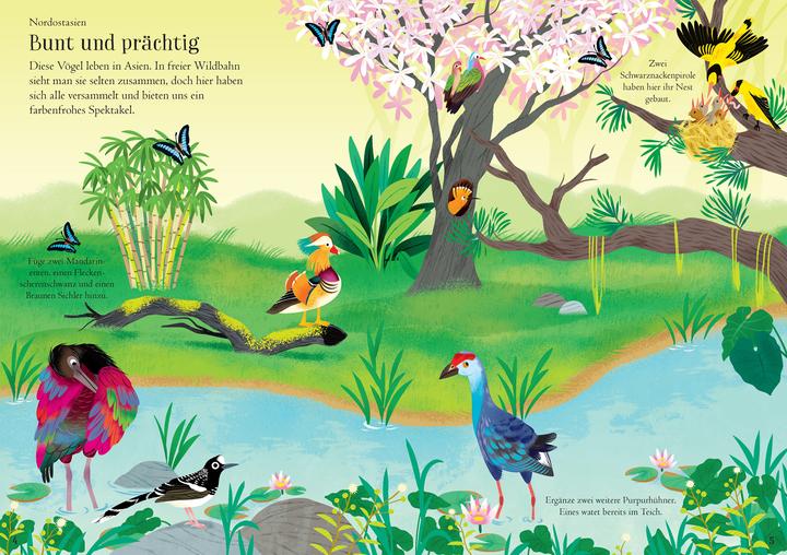 Actual product image My ever-again sticker book: Birds