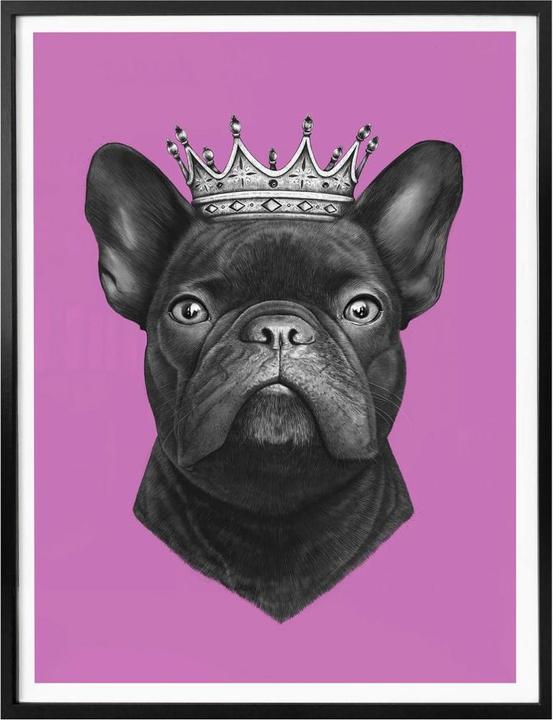 Actual product image Trenddeko King French Bulldog pink (30 x 40 cm)