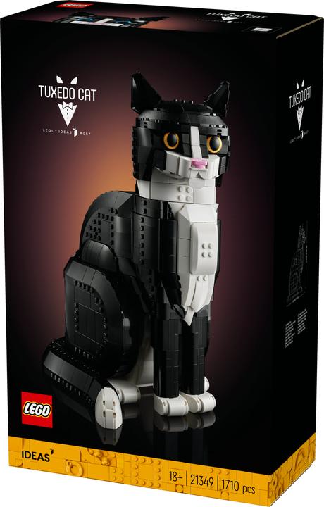 Productafbeelding LEGO Vertrouwelijk (21349, LEGO Ideeën, LEGO Zeldzame Sets)
