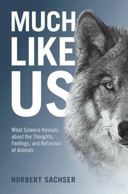 Productafbeelding Much Like Us (Engels, Norbert Sachser, Ruby Bilger, 2022)