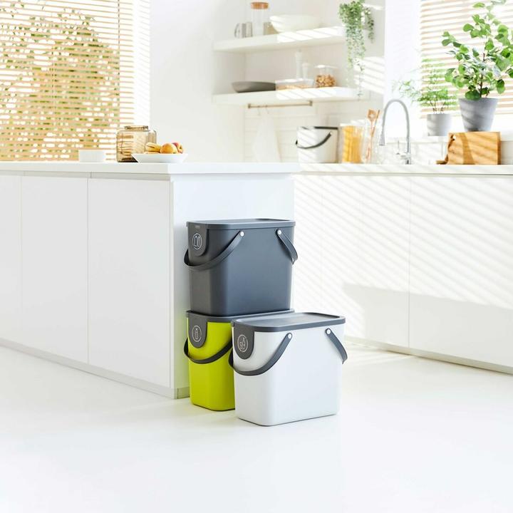 Immagine prodotto Rotho Cestino ALBULINO, 25L, giallo sp. (25 l)