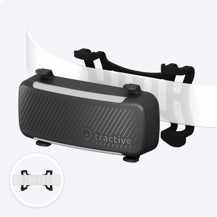 Produktbild Tractive GPS Tracker Dog 6 (Hund, Spazieren)