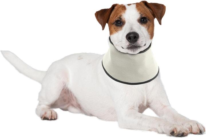 Produktbild Swisspet Kühl-Halstuch (M, Hundehalstuch)