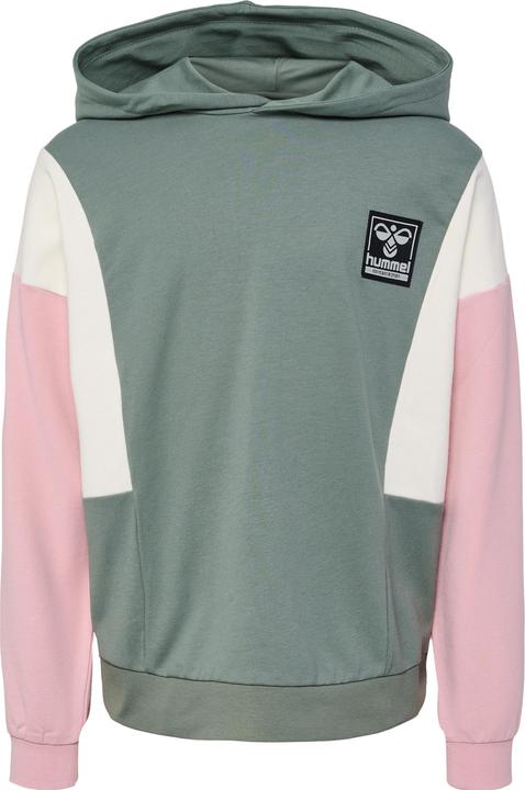 Image du produit hummel hmlPALOMI HOODIE (152)
