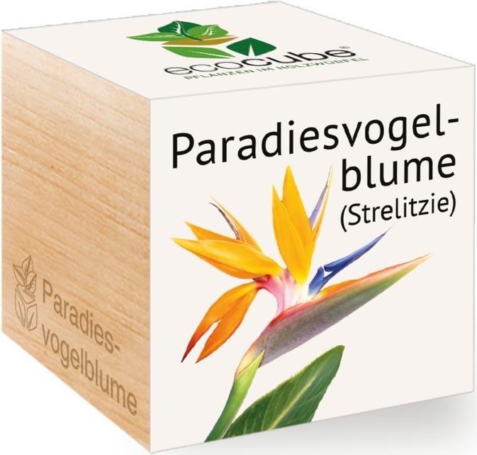 Image du produit Feel Green Ecocube (Graines de fleurs)