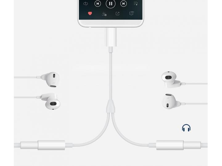 Image du produit PowerGuard Câble USB-C vers 2x 3.5mm casque femelle AUX (Jack 3.5mm, Jack 3.5mm)